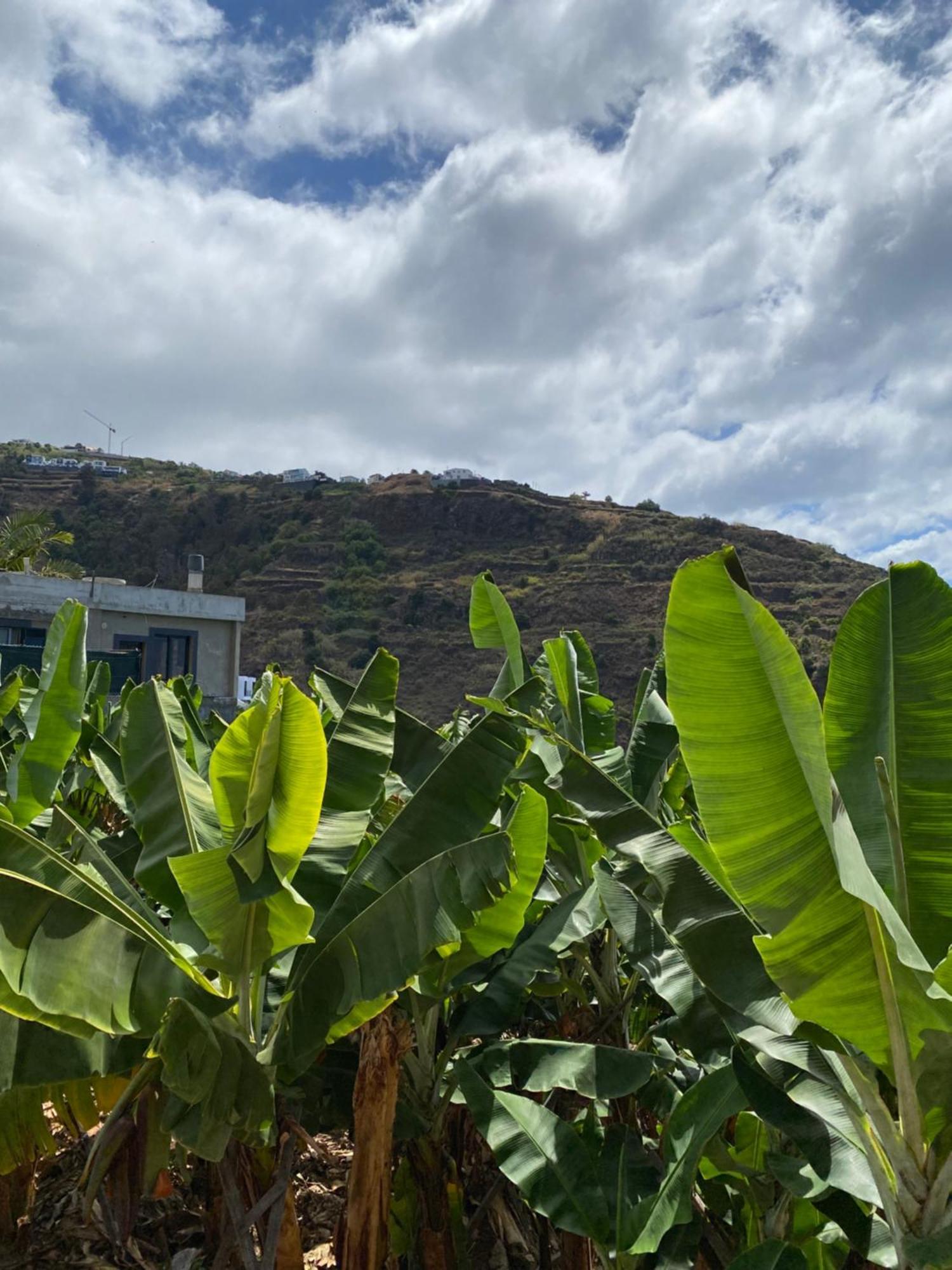 Pana House Apartment Calheta  Exterior foto